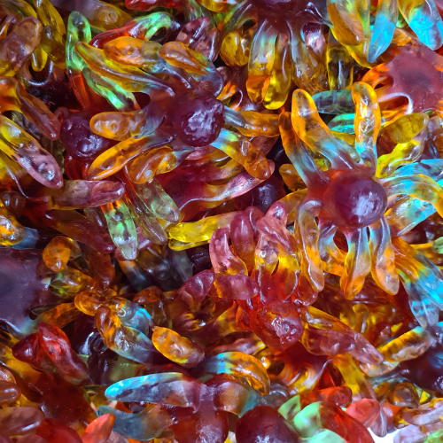 Gummi Octopus