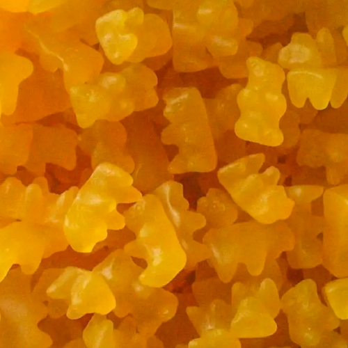 Aussie Honey Bears